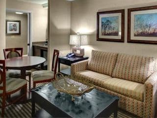 Holiday Inn Express & Suites Atlanta Buckhead - Photo 6