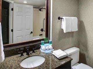 Holiday Inn Express & Suites Atlanta Buckhead - Photo 10