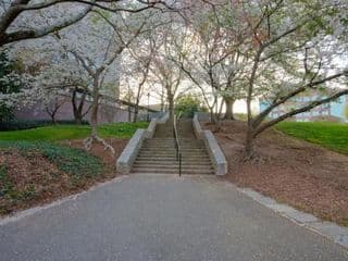 Residence Inn By Marriott Buckhead Lenox Park - Photo 18