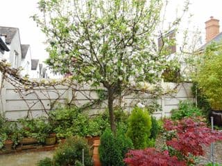 Compton Guest House - Photo 2