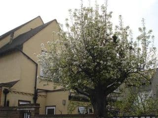 Compton Guest House - Photo 20