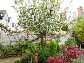 Compton Guest House - Photo 6