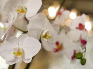 St Johns Boutique Hotel - Photo 16
