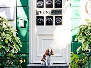 St Johns Boutique Hotel - Photo 21