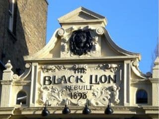 The Black Lion - Photo 24