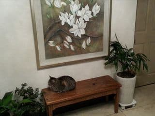 Beewon Guesthouse - Photo 21