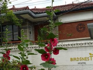 Birdsnest Hostel Hongdae Foreigner only - Photo 22