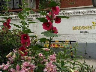 Birdsnest Hostel Hongdae Foreigner only - Photo 23